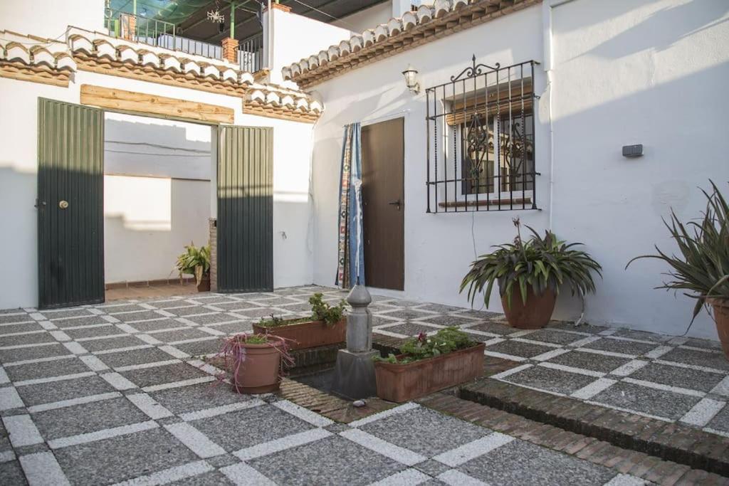 Lolas Cozy Studio Granada Exteriör bild