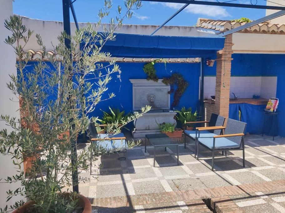 Lolas Cozy Studio Granada Exteriör bild